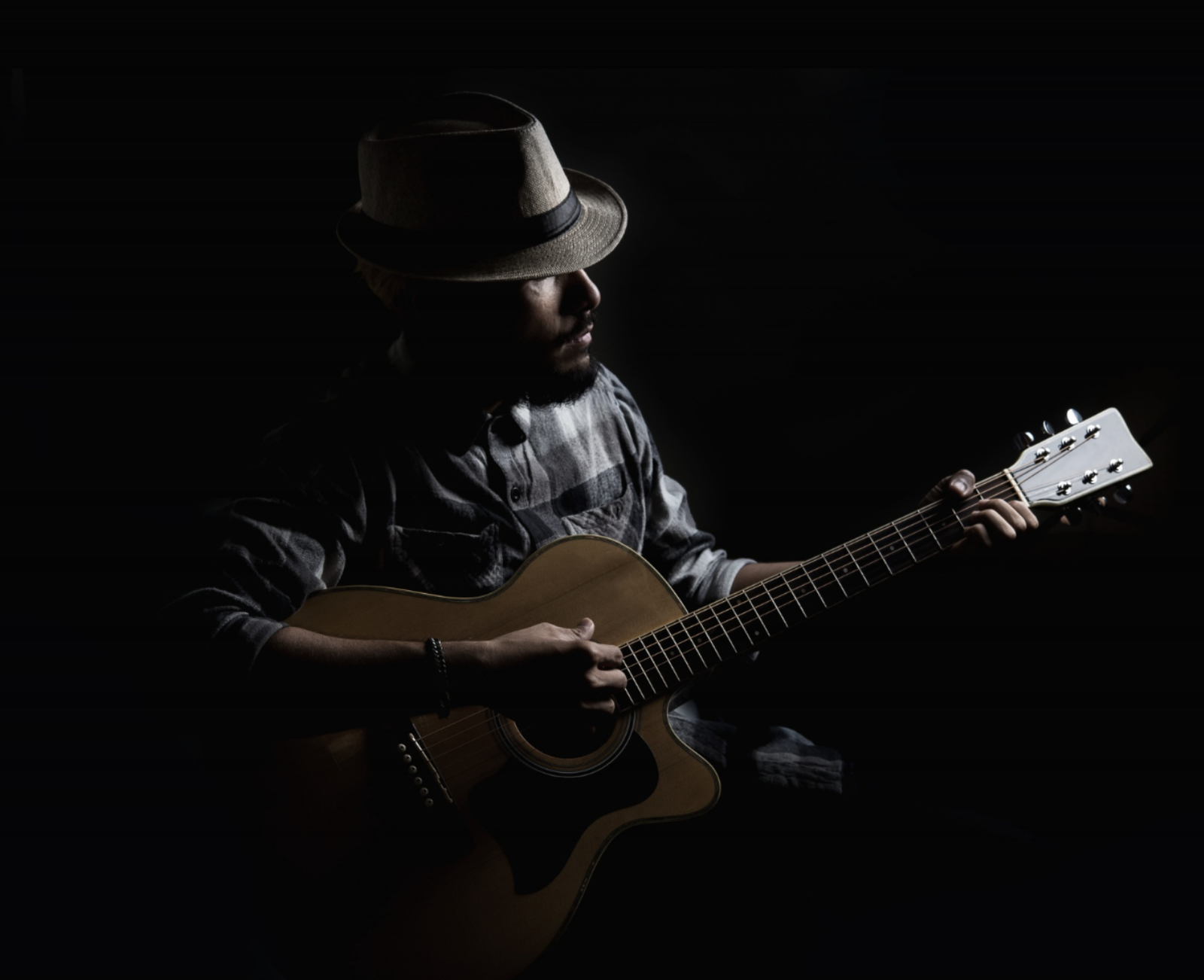 Acoustic Memphis Blues Album