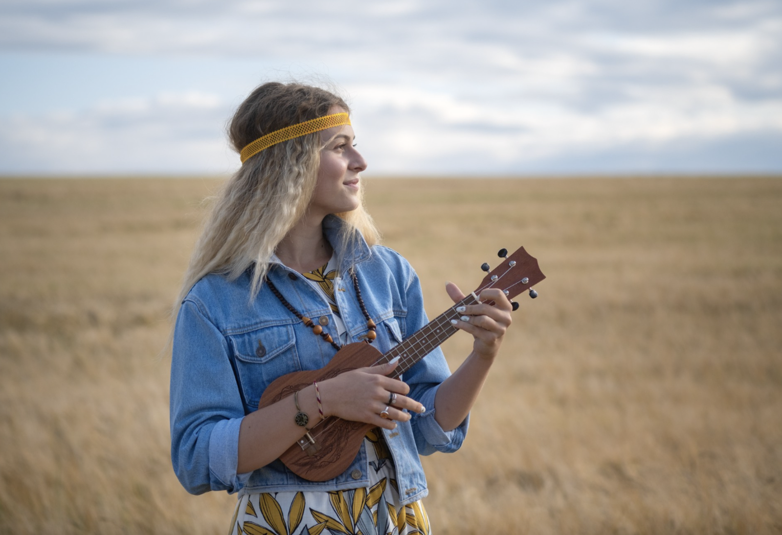 Folk Album vol 2