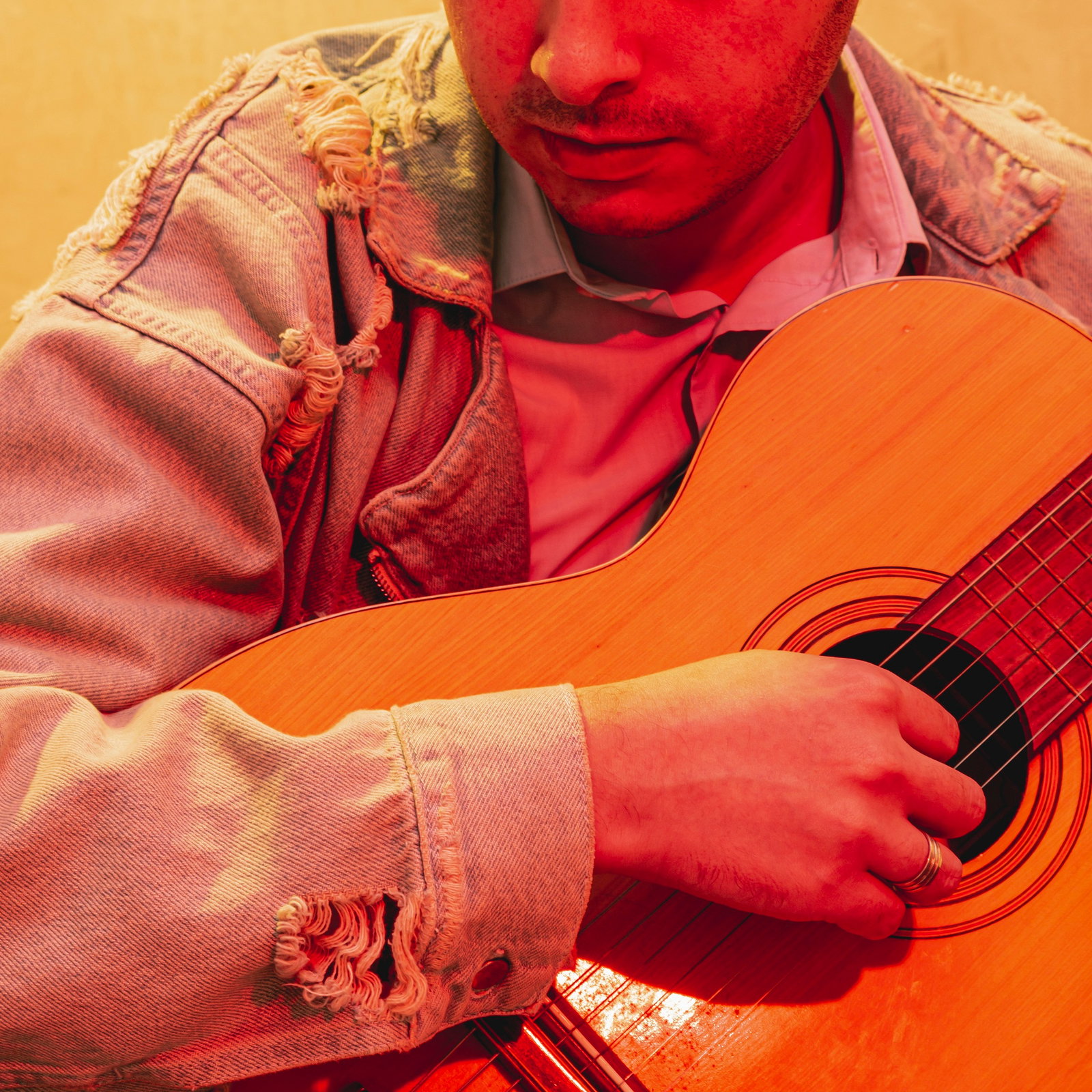 Acoustic Vocal Album