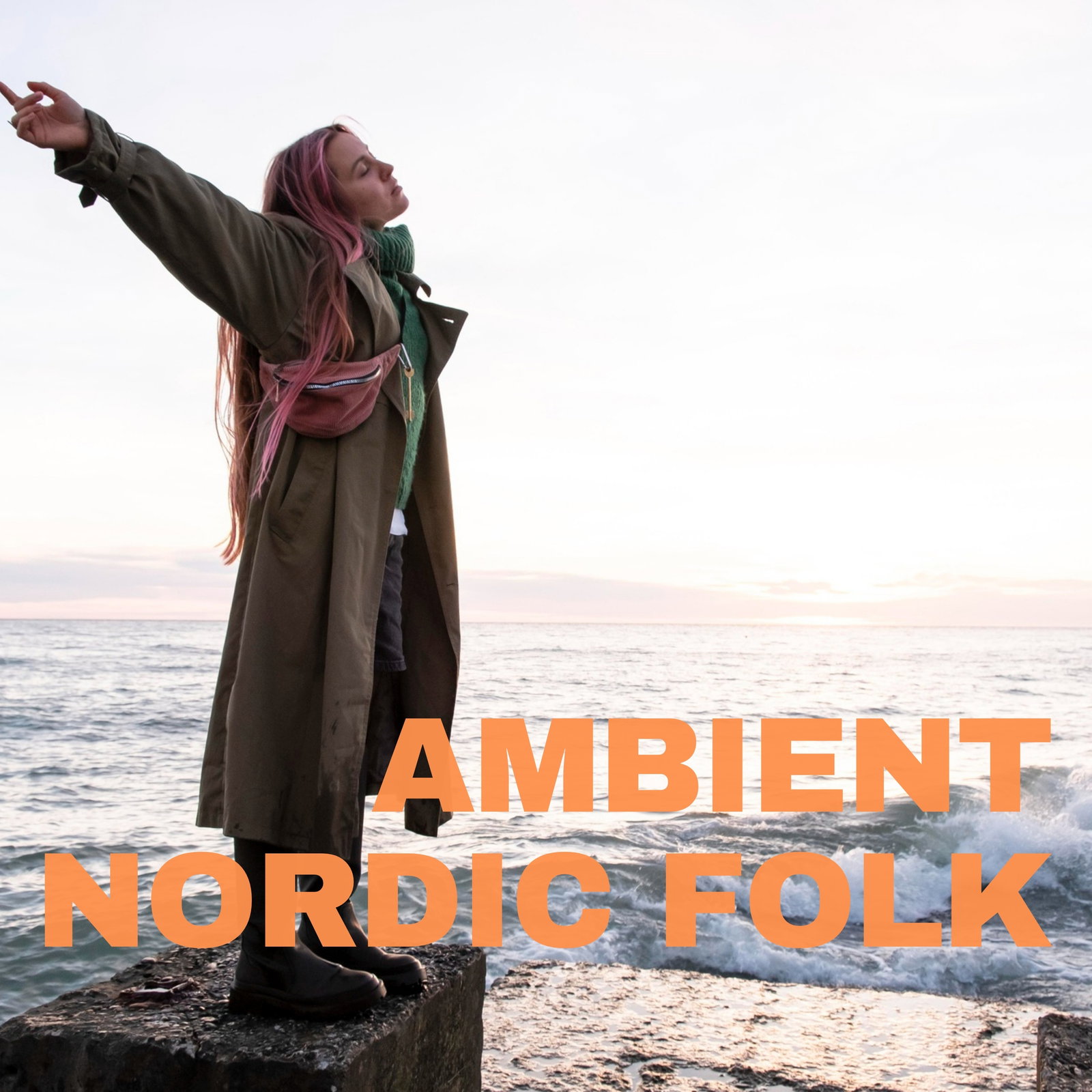 Ambient Nordic Folk Plyalist
