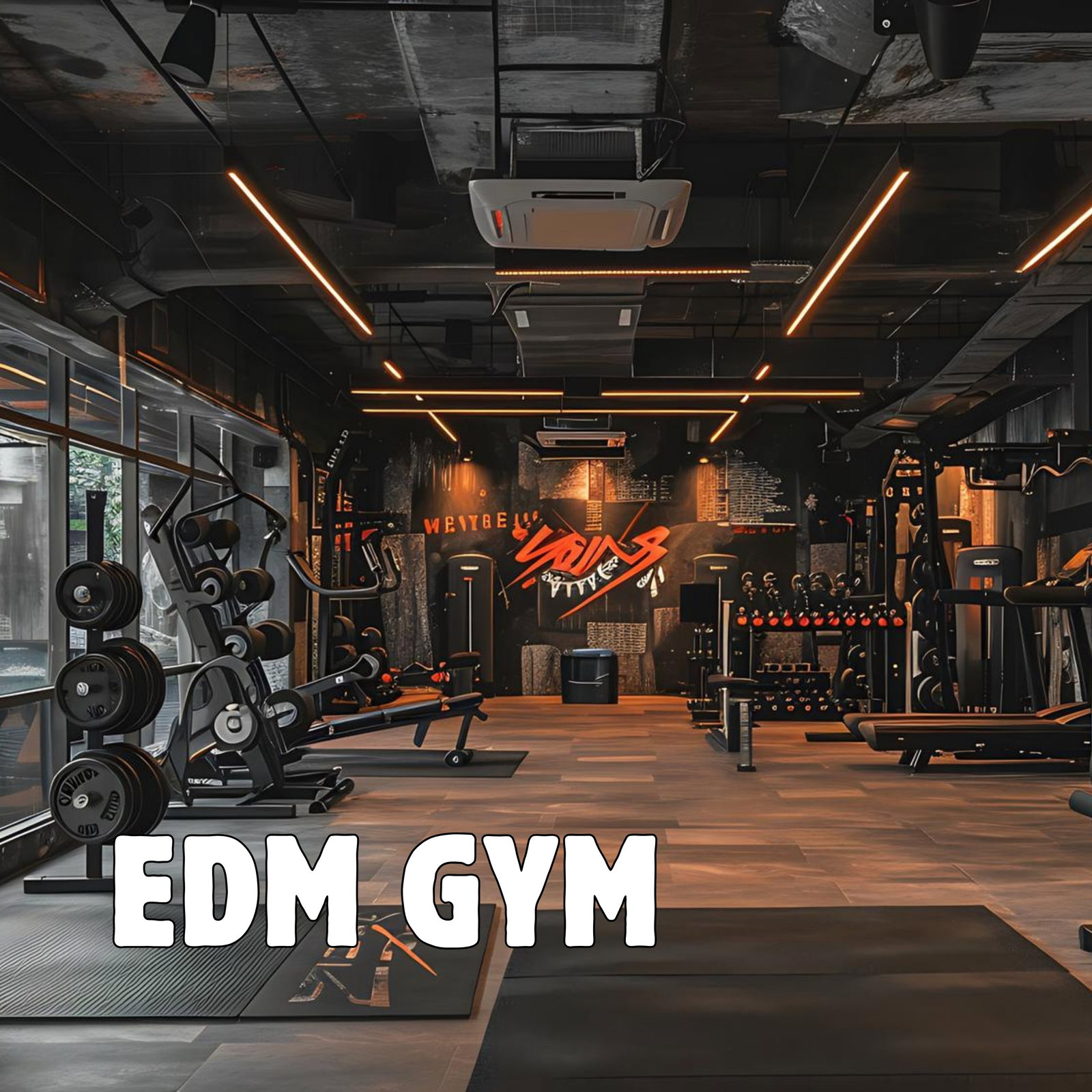 EDM Gym